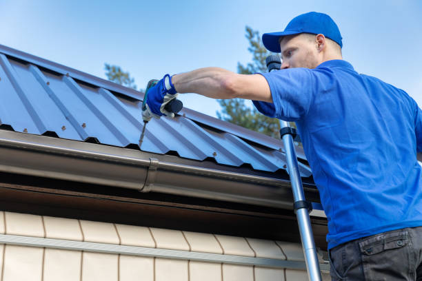Best Skylight Installation and Repair  in Garner, IA